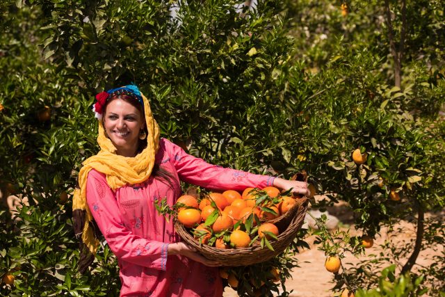 mp71489288-proud-middle-eastern-female-farmer-in-colorful.jpg