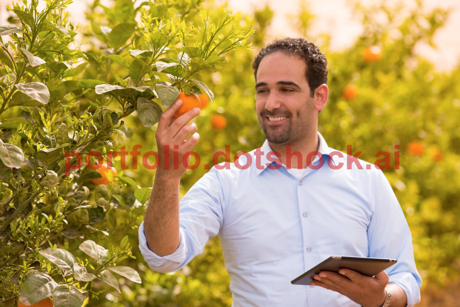 mp71489267-professional-middle-eastern-male-agricultural-inspector.jpg