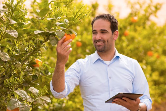 mp71489267-professional-middle-eastern-male-agricultural-inspector.jpg