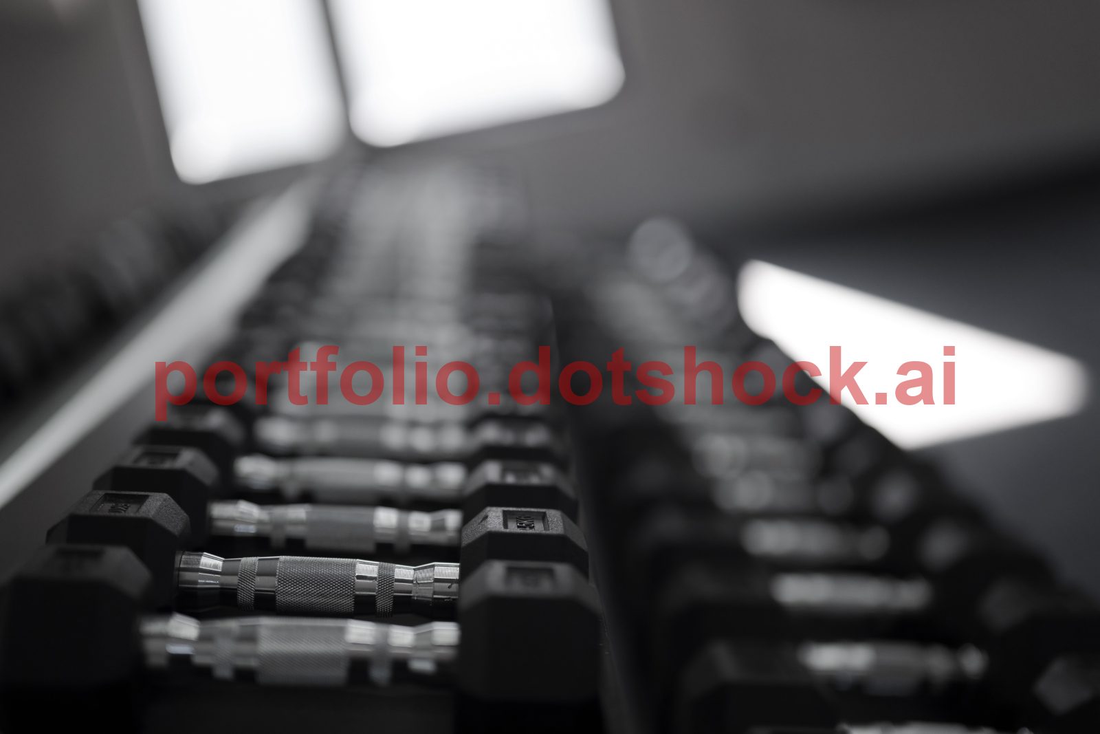A variety of dumbbells are neatly arranged in a gym